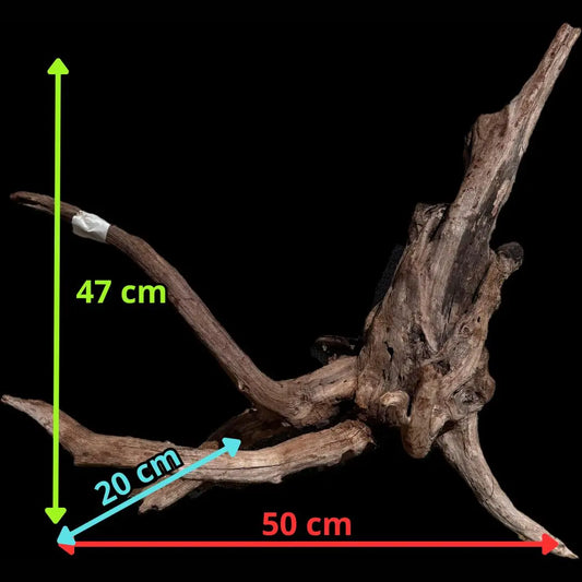 Drift Wood - 50*20*47 AQPET