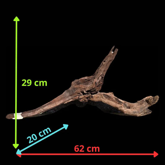 Drift Wood -62*20*29 - cod.003 AQPET