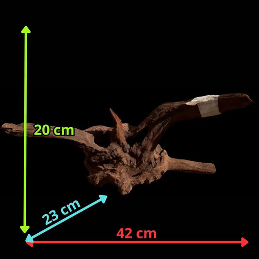 Drift Wood - 42*23*20 - cod.028 AQPET