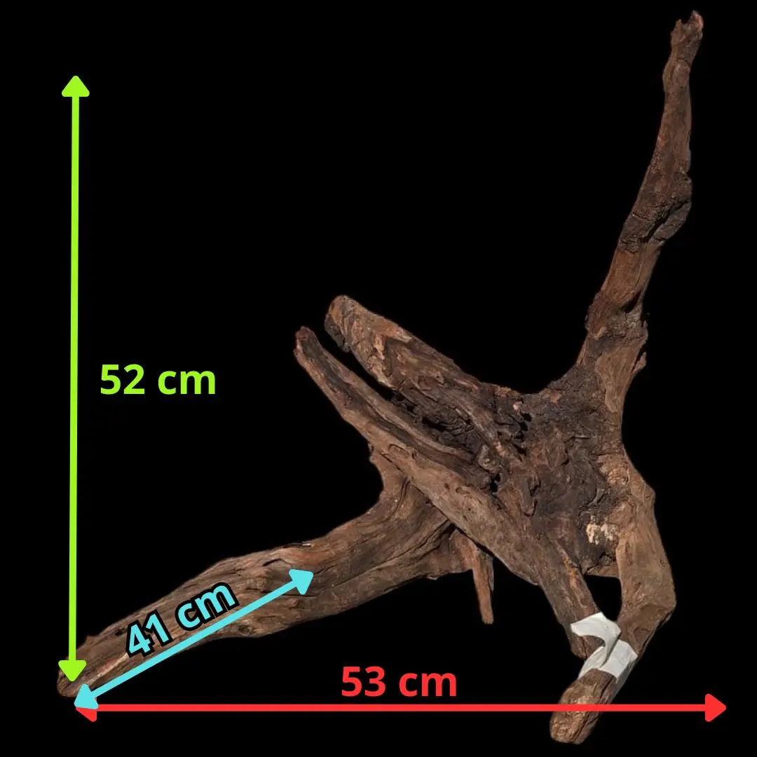 Drift Wood - 53*41*52 - cod.019 AQPET