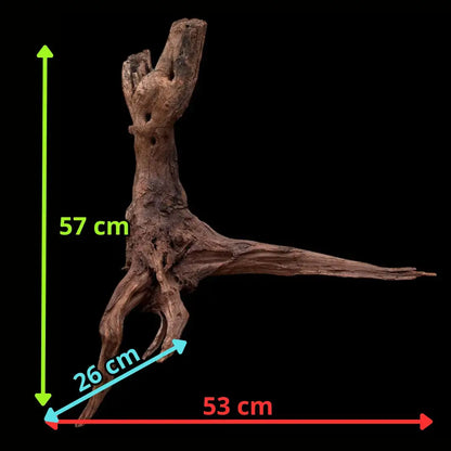 Drift Wood - 53*26*57 - cod.036 AQPET