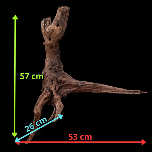 Drift Wood - 53*26*57 - cod.036 AQPET