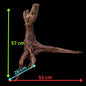 Drift Wood - 53*26*57 - cod.036 AQPET