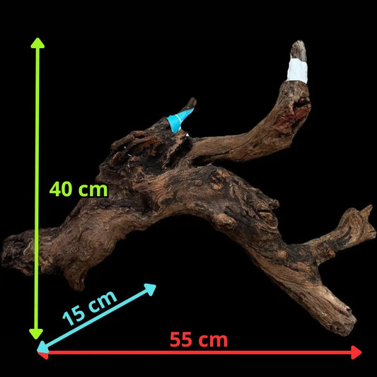 Drift Wood - 55*15*40 AQPET
