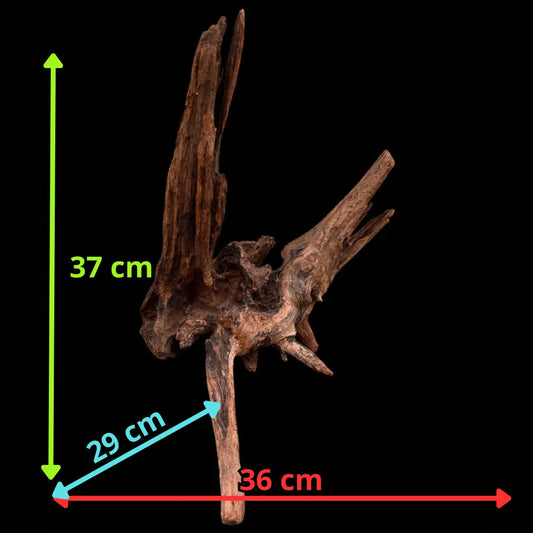 Drift Wood - 36*29*37 - cod.037 AQPET