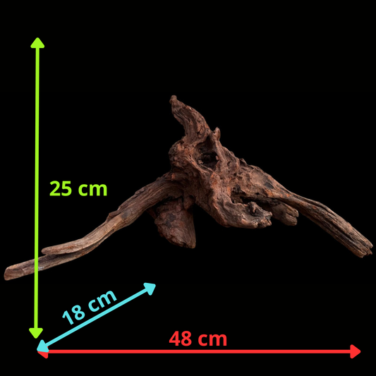 Drift Wood - 48*18*25 - cod.045 AQPET