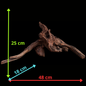 Drift Wood - 48*18*25 - cod.045 AQPET