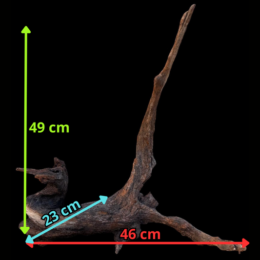 Drift Wood - 46*23*49- cod.090 AQPET