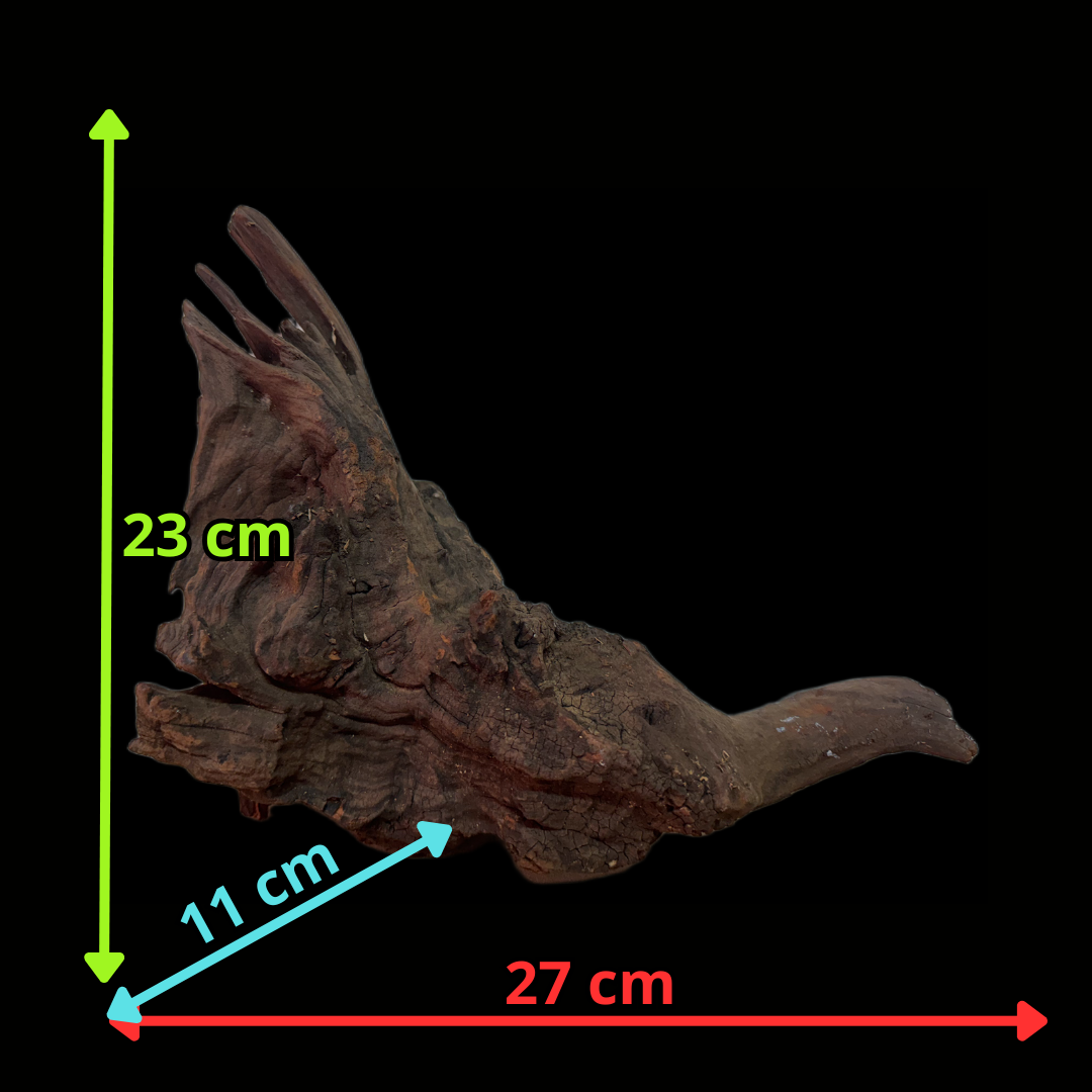Drift Wood - 27*11*23 - cod.122 WHIMAR