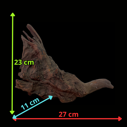 Drift Wood - 27*11*23 - cod.122 WHIMAR