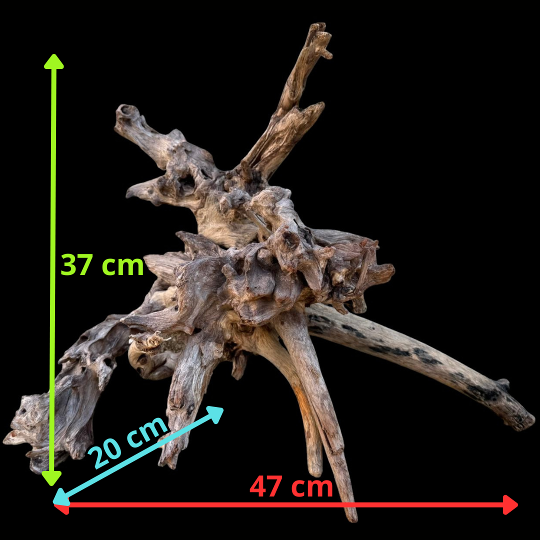 Drift Wood - 47*20*37- cod.091 AQPET