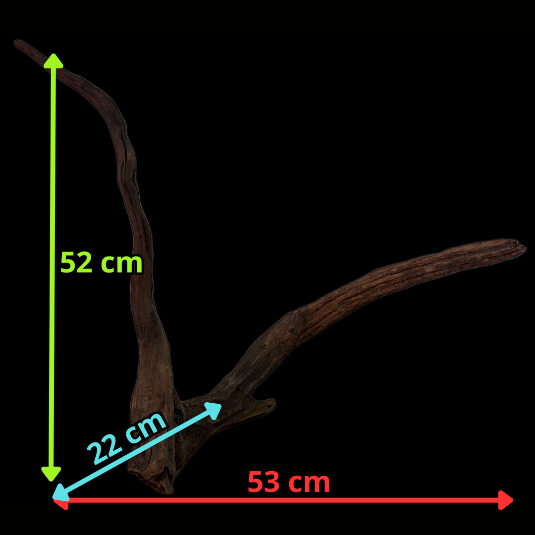Drift Wood - 53*22*52 - cod.123 WHIMAR