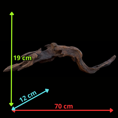 Drift Wood - 70*12*19- cod.092 AQPET