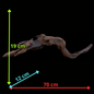 Drift Wood - 70*12*19- cod.092 AQPET