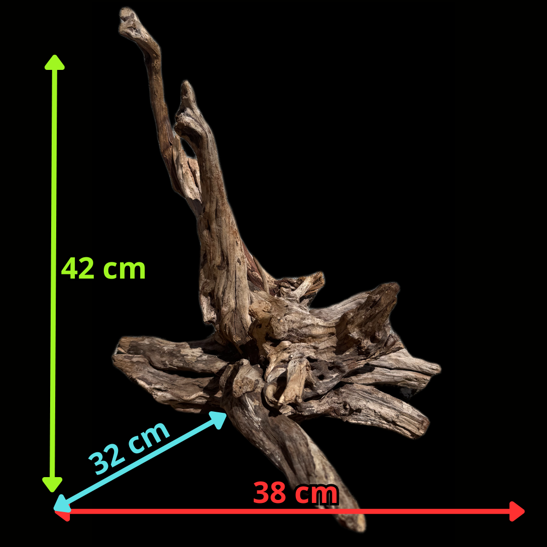 Drift Wood - 38*32*42 - cod.112 AQPET