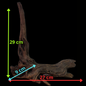 Drift Wood - 27*9*29 - cod.124 WHIMAR
