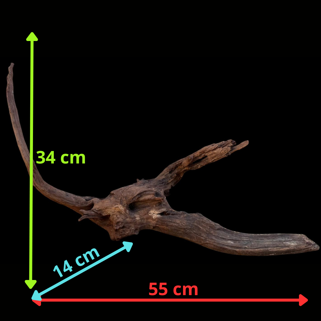 Drift Wood - 55*14*34- cod.094 AQPET