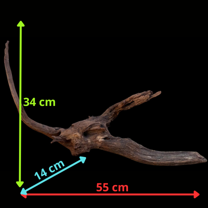 Drift Wood - 55*14*34- cod.094 AQPET