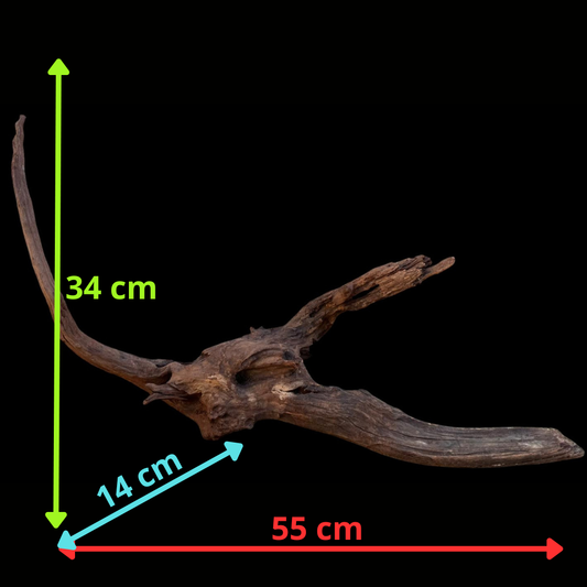 Drift Wood - 55*14*34- cod.094 AQPET