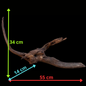 Drift Wood - 55*14*34- cod.094 AQPET