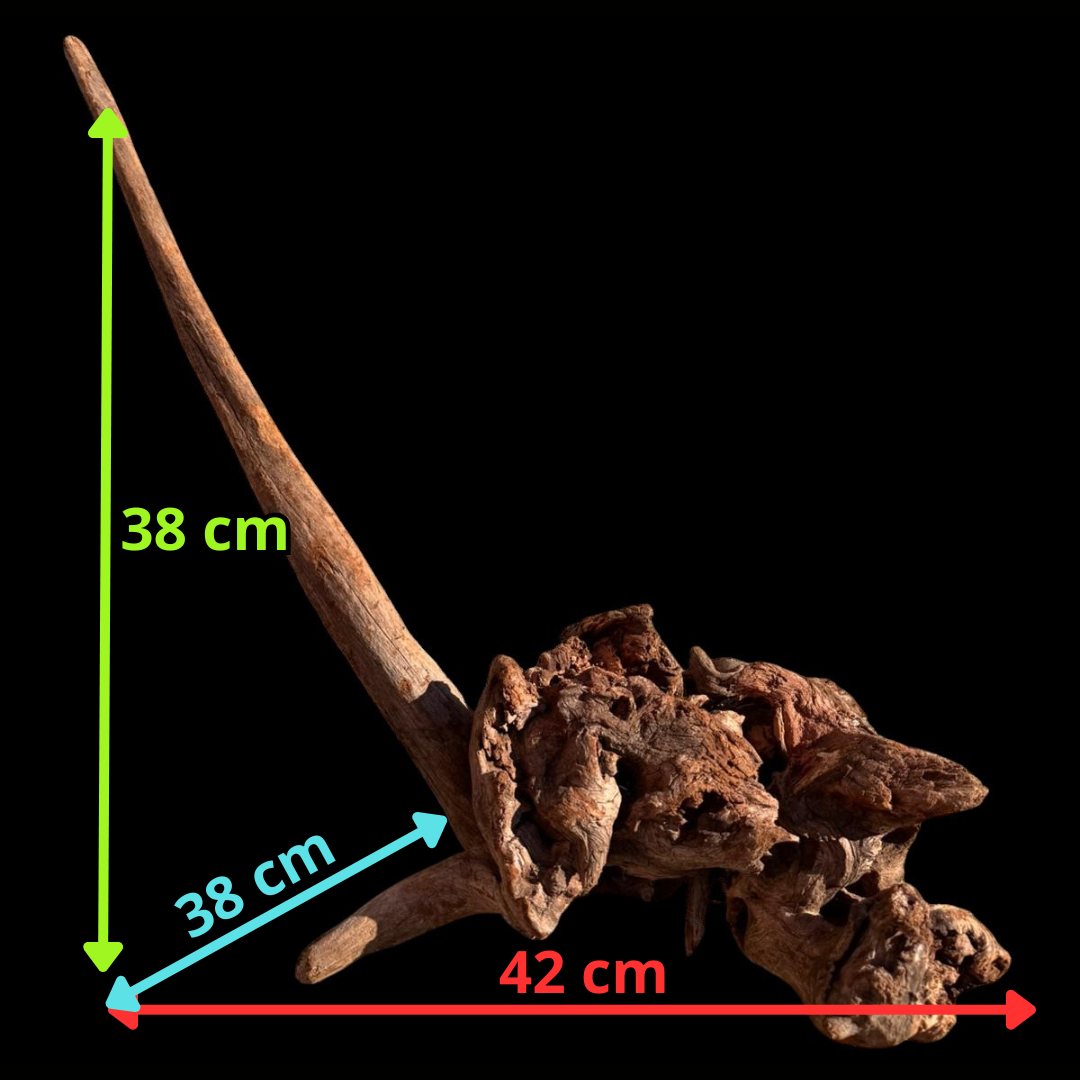 Drift Wood - 58*27*55 - cod.063