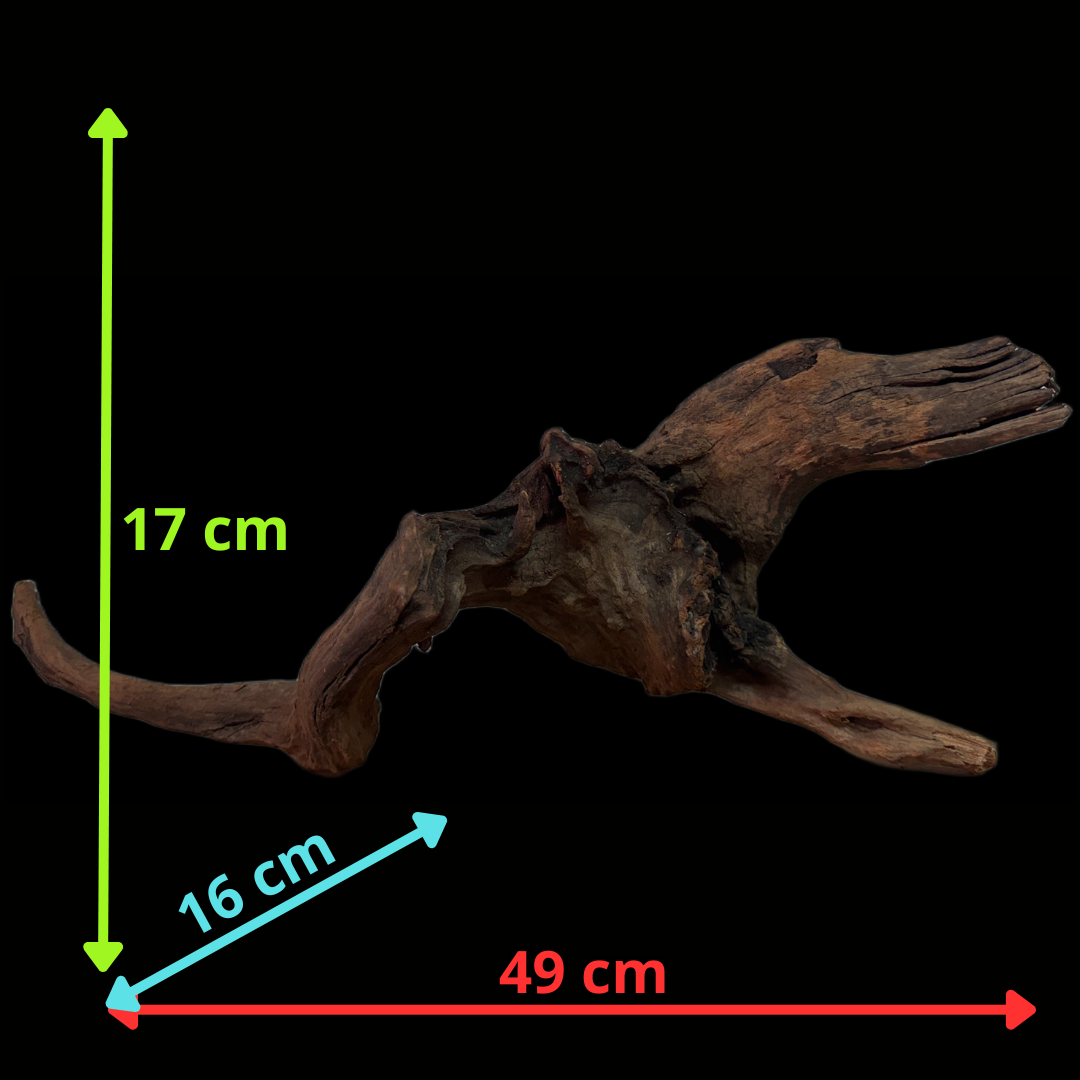 Drift Wood - 49*16*17 - cod.125 WHIMAR