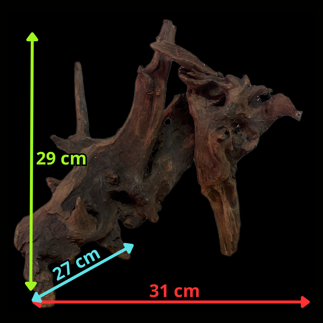 Drift Wood - 31*27*29 - cod.126 WHIMAR