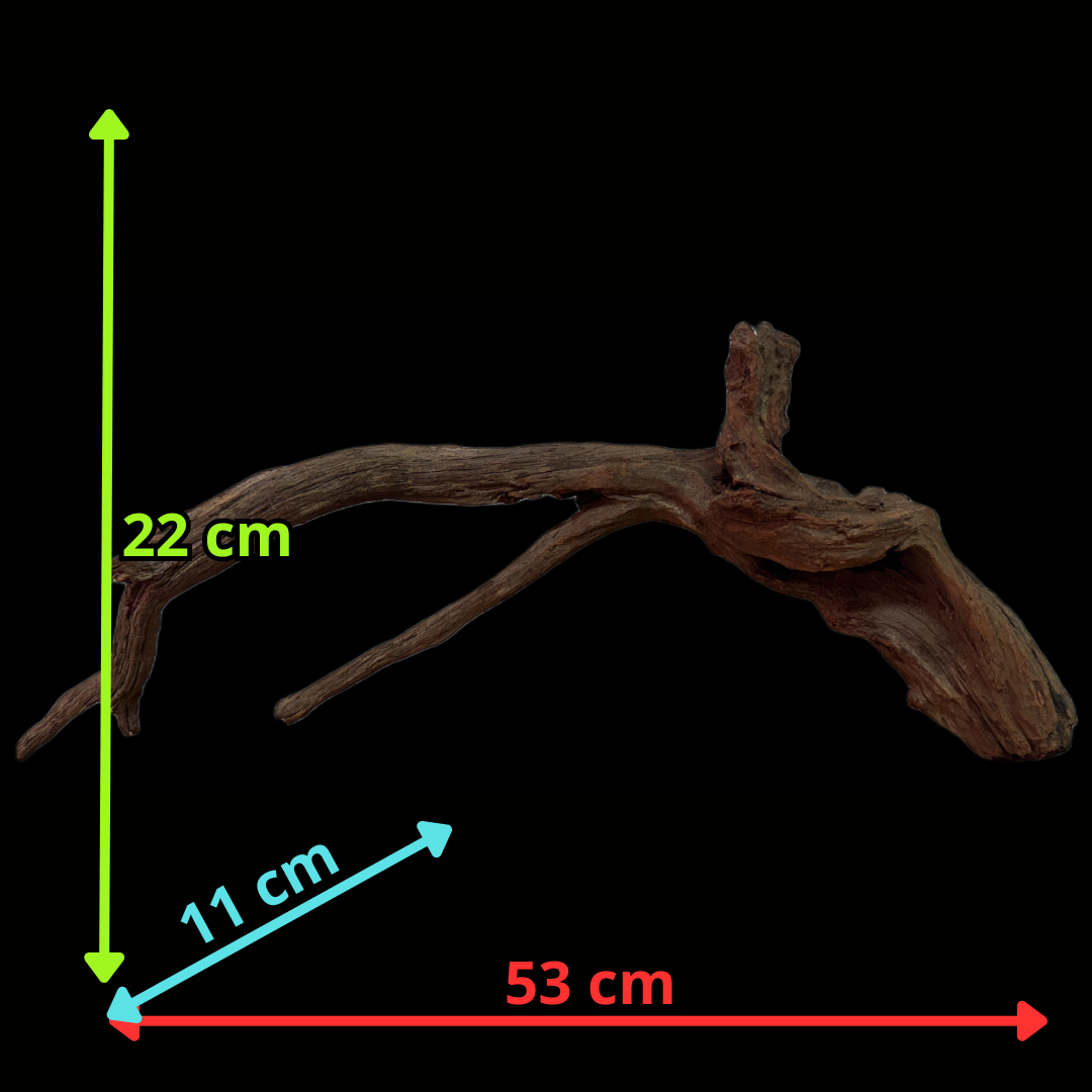 Drift Wood - 53*11*22 - cod.127 WHIMAR