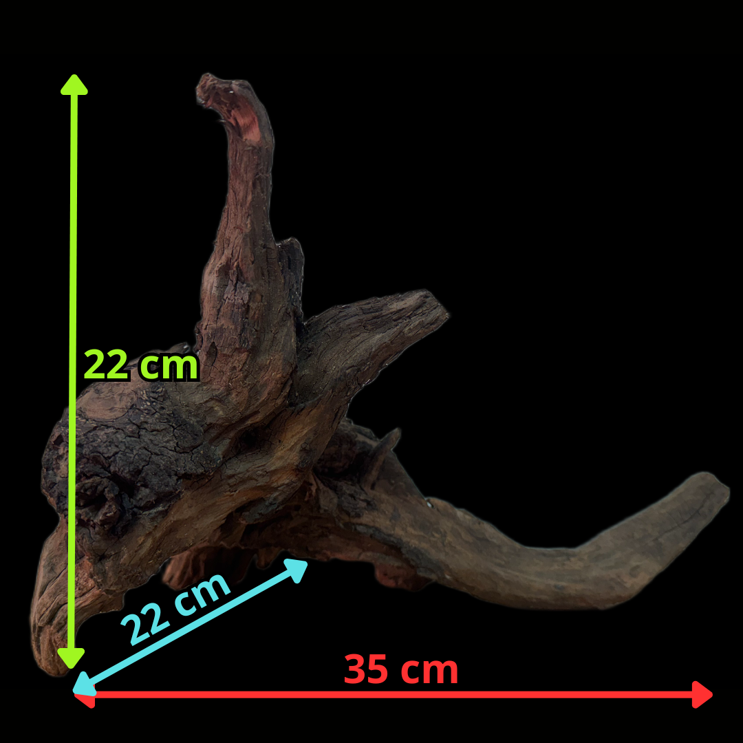 Drift Wood - 35*22*22 - cod.164 WHIMAR