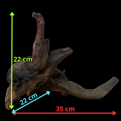Drift Wood - 35*22*22 - cod.164 WHIMAR