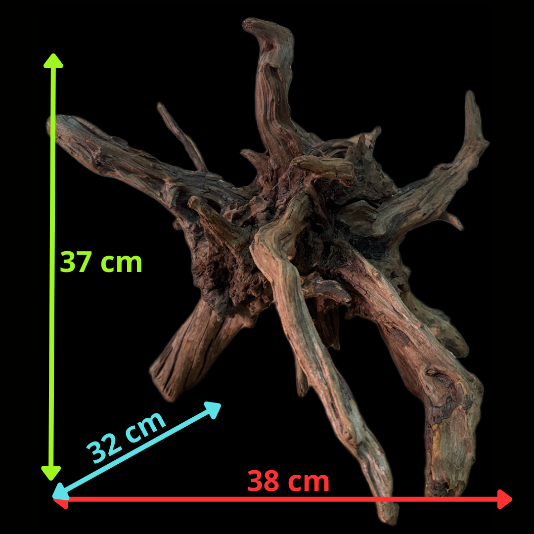 Drift Wood - 38*32*37 - cod.149 AQPET