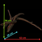 Drift Wood - 62*28*34 - cod.146 WHIMAR