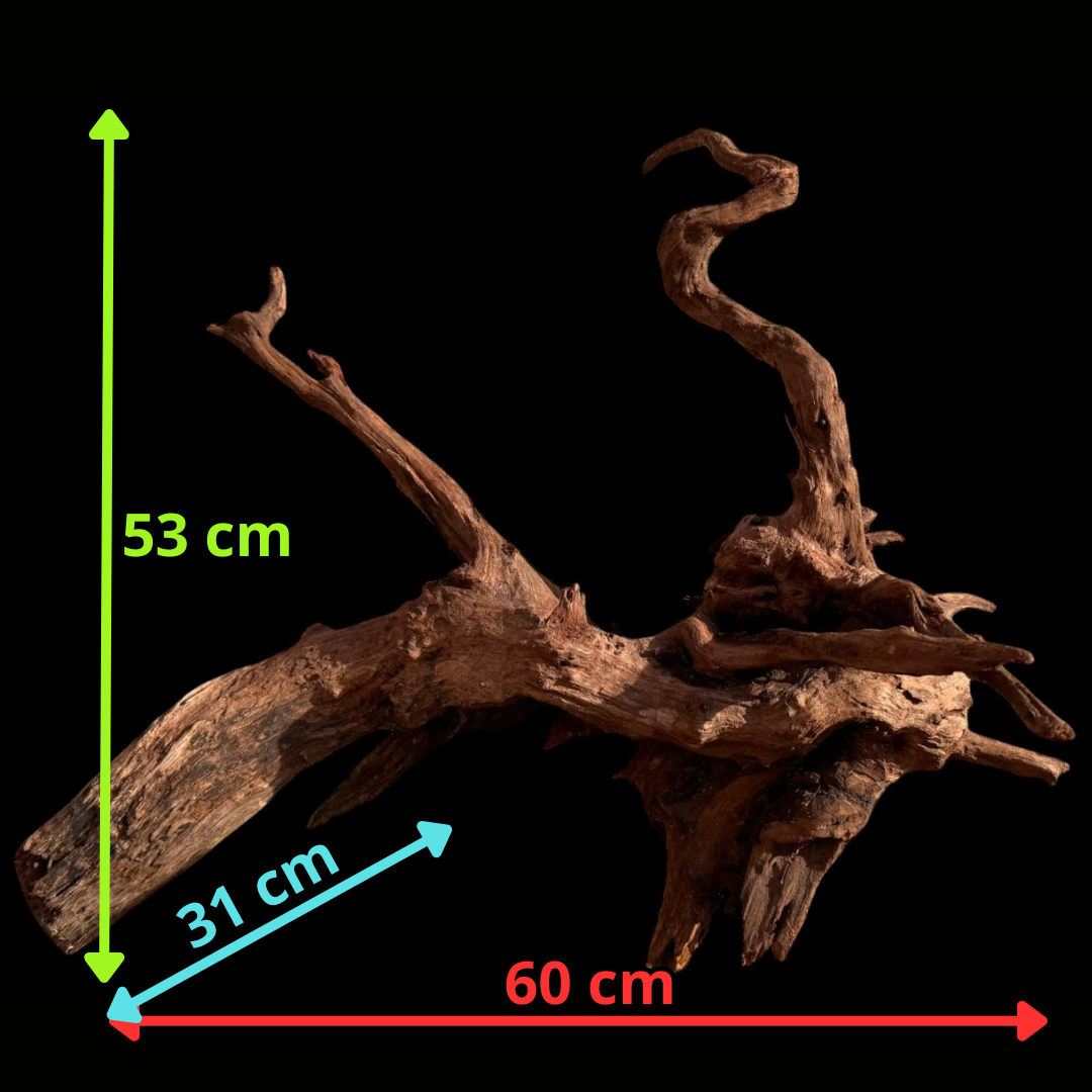 Drift Wood - 60*31*53 - cod.056
