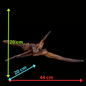 Drift Wood - 44*20*20 - cod.081 AQPET