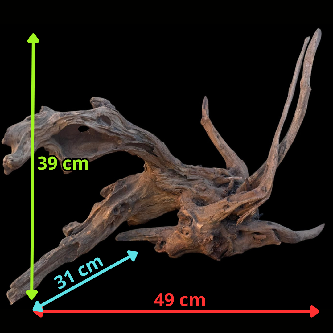 Drift Wood - 49*31*39 - cod.102 AQPET