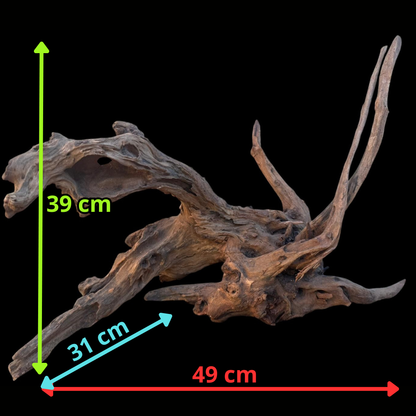 Drift Wood - 49*31*39 - cod.102 AQPET