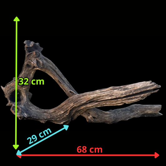Drift Wood - 68*29*32 - cod.096 AQPET
