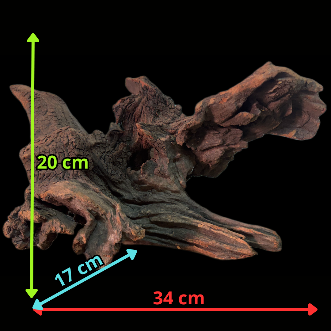 Drift Wood - 34*17*20 - cod.152 WHIMAR