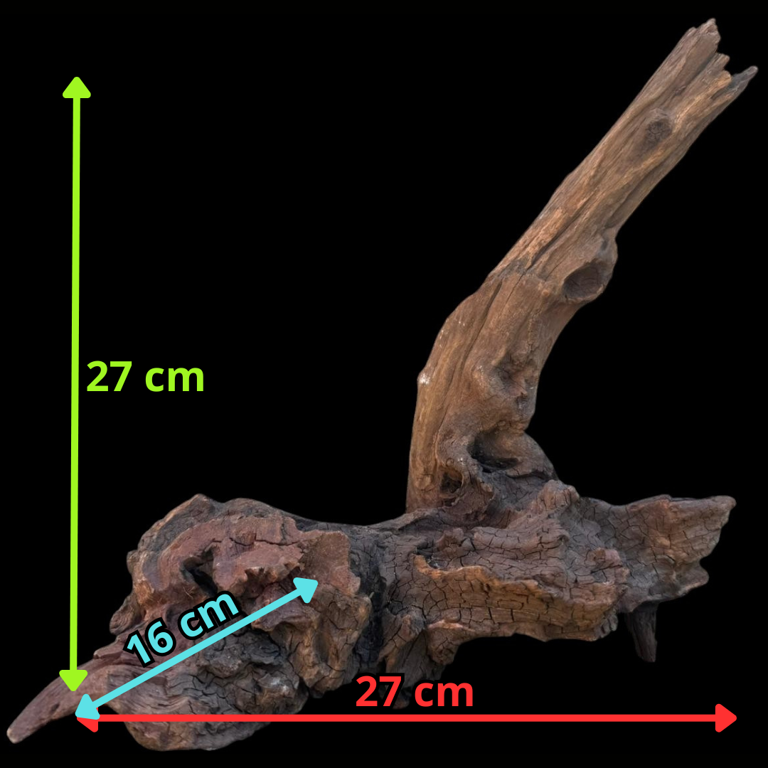 Drift Wood - 27*16*27 - cod.106 AQPET