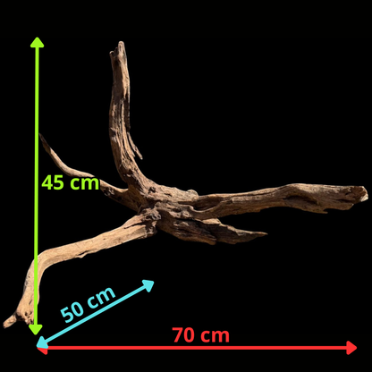 Drift Wood - 70*50*45 - cod.070 AQPET