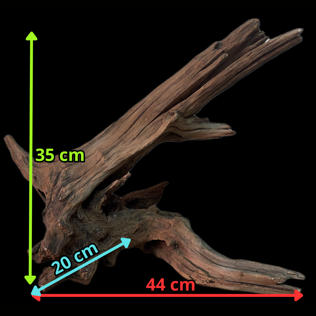 Drift Wood - 44*20*35 - cod.141 WHIMAR