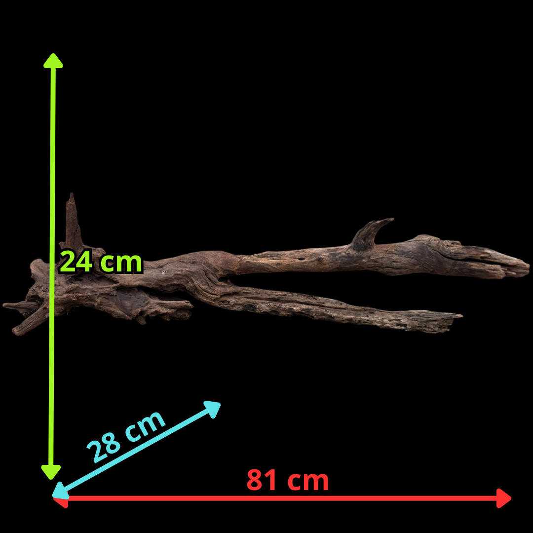 Drift Wood - 81*28*24 - cod.077 AQPET