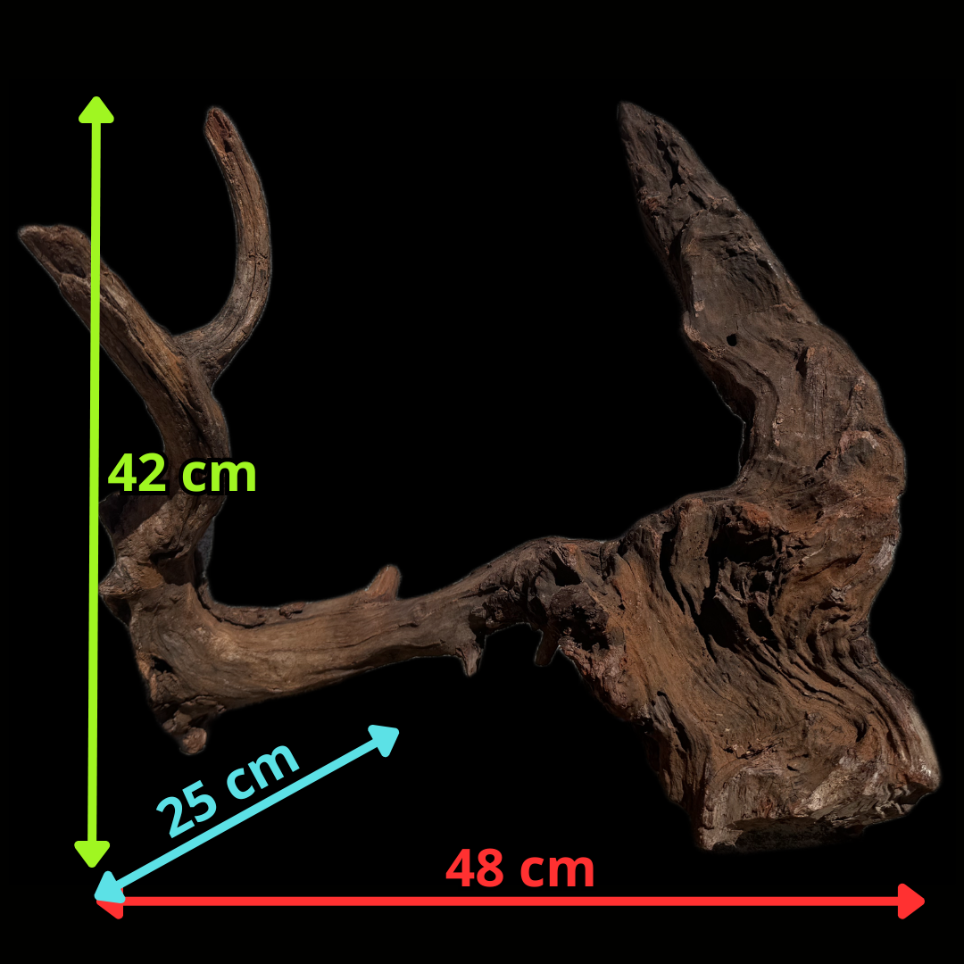 Drift Wood - 48*25*42 - cod.113 WHIMAR