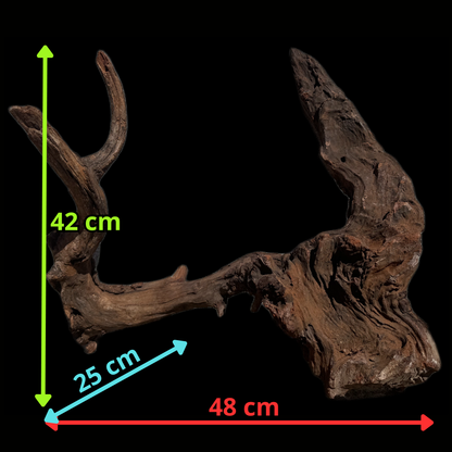 Drift Wood - 48*25*42 - cod.113 WHIMAR