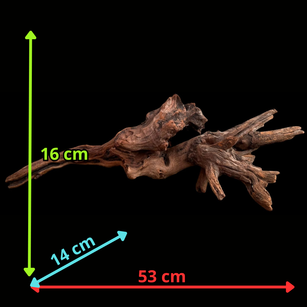 Drift Wood - 53*14*16 - cod.046 AQPET