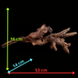 Drift Wood - 53*14*16 - cod.046 AQPET