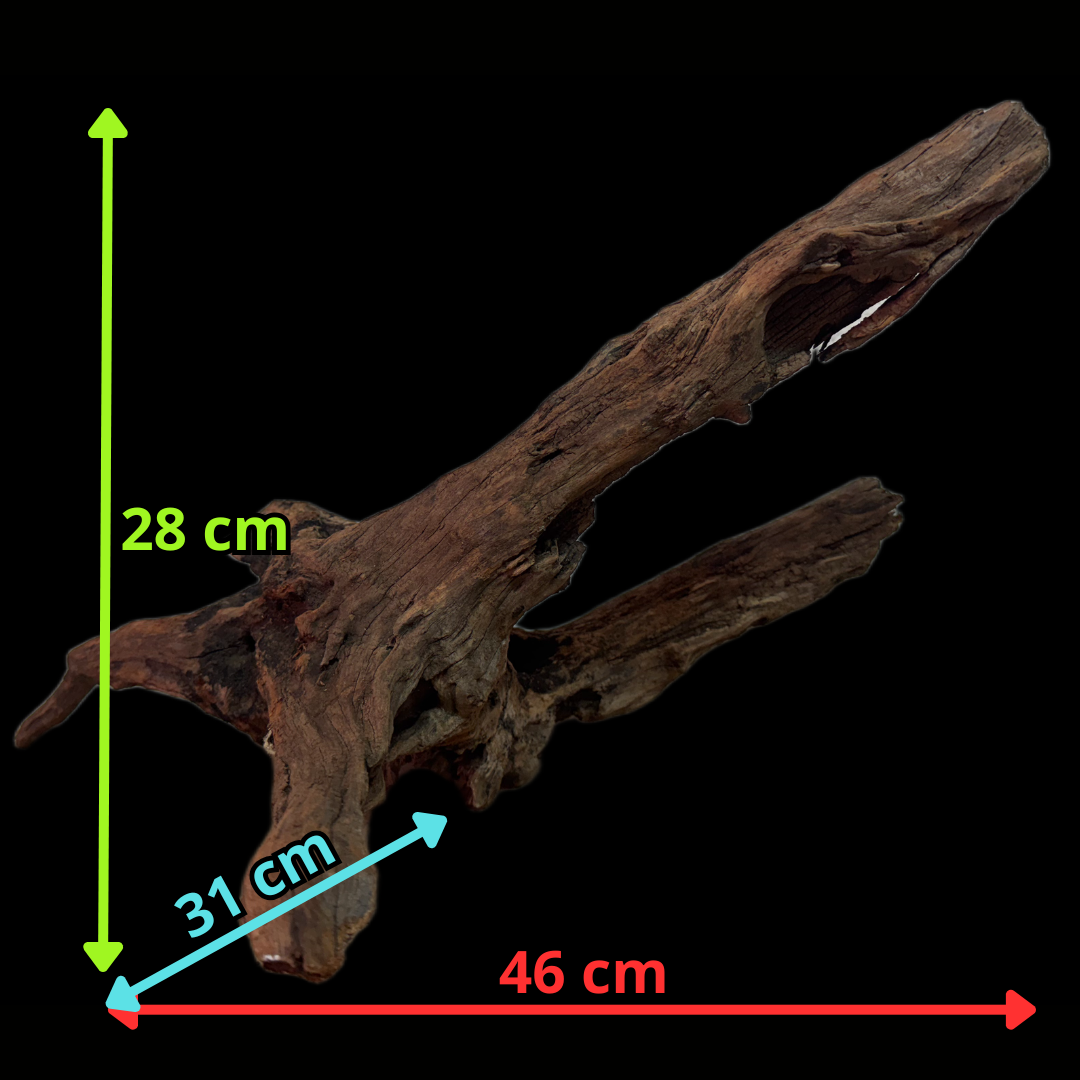 Drift Wood - 46*13*28 - cod.131 WHIMAR