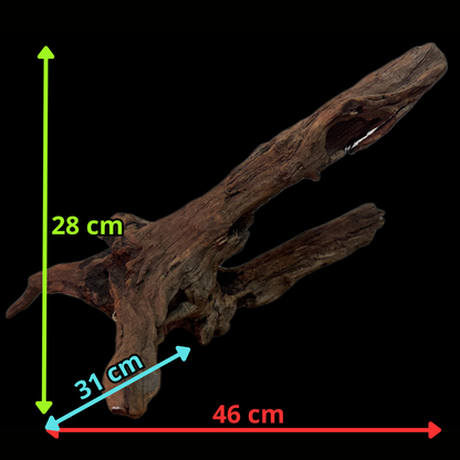 Drift Wood - 46*13*28 - cod.131 WHIMAR