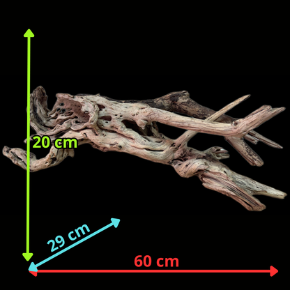 Drift Wood - 60*29*20 - cod.132 WHIMAR