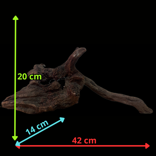 Drift Wood - 42*14*20 - cod.133 WHIMAR